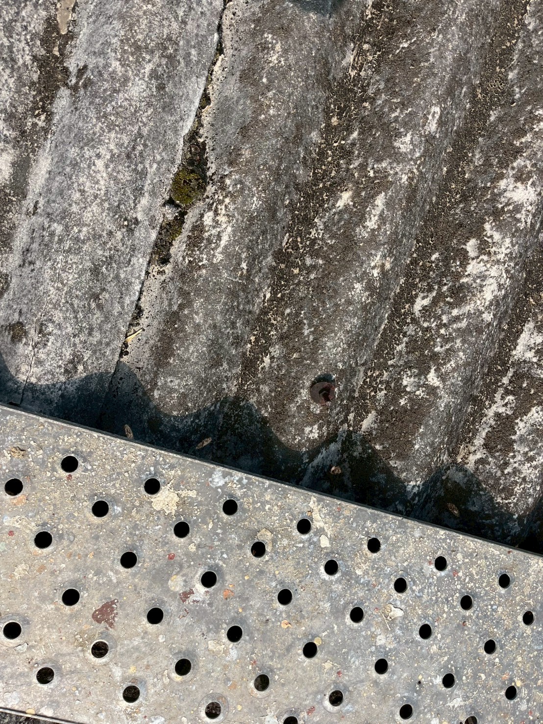 苔の生えた波型スレート屋根